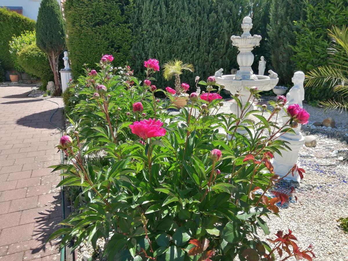 Apartment Natali Öhringen Екстериор снимка